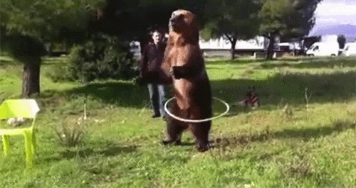 Hula Hooping Bear